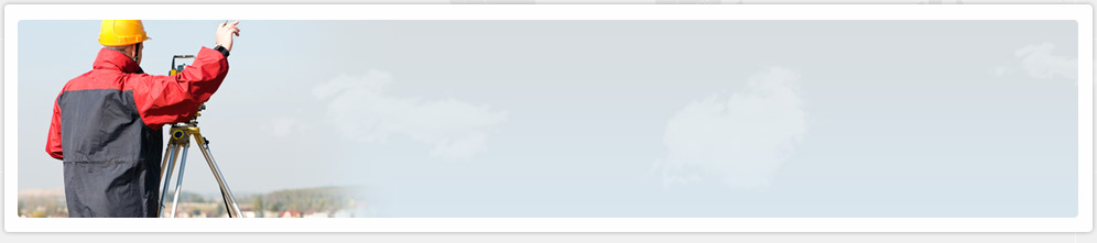 Seismic reflection survey